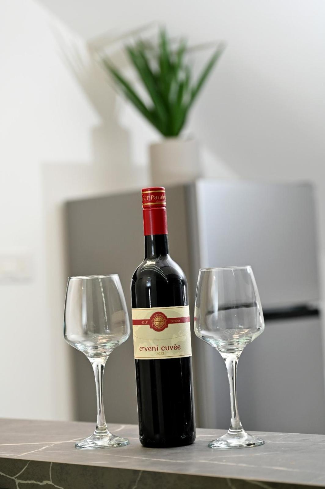 Mery Apartment Slavonski Brod